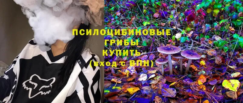 Псилоцибиновые грибы мухоморы  Воркута 